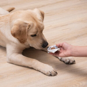 3 effective flea tablets for dogs