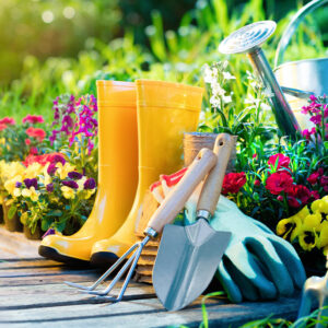 8 simple tricks every gardener should know